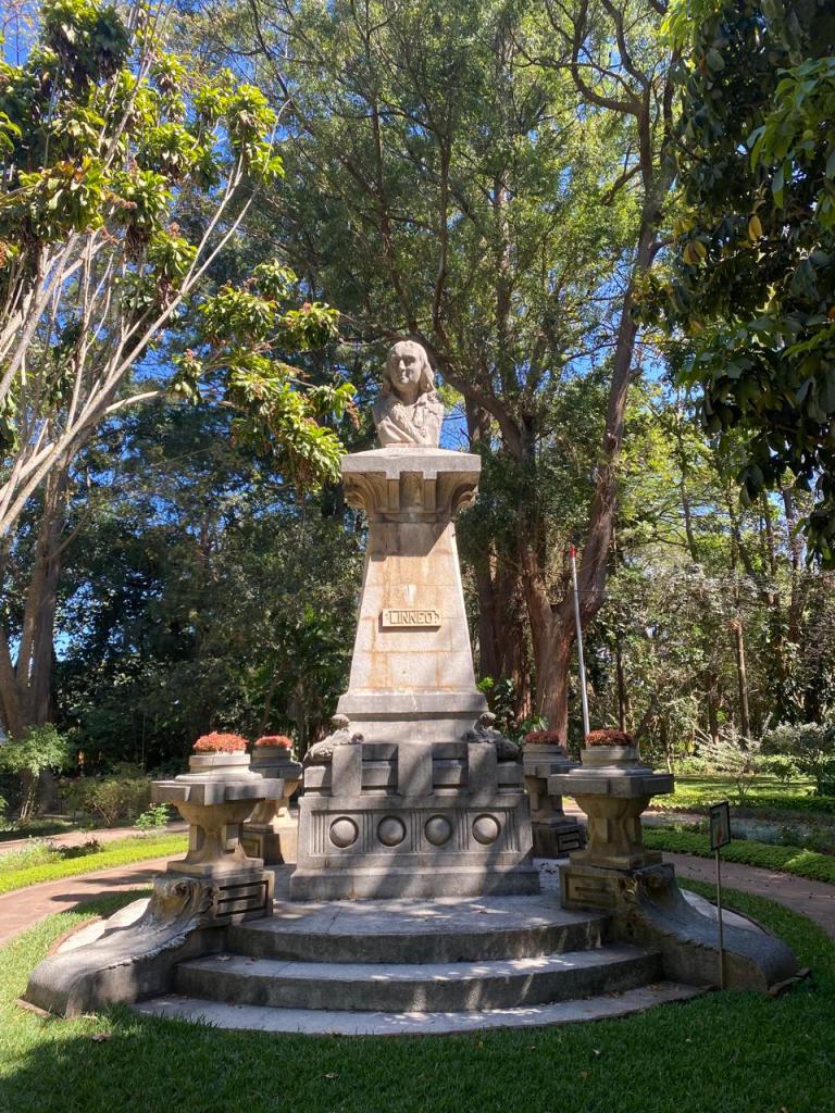 estatua en honor a Linneo en el botánico de la ciudad de Guatemala