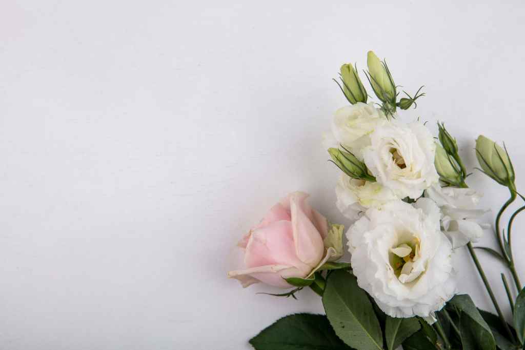 Lisianthus: elegancia y simbolismo&nbsp;floral