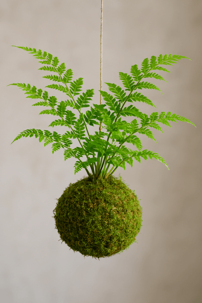 Un helecho en una esfera de musgo