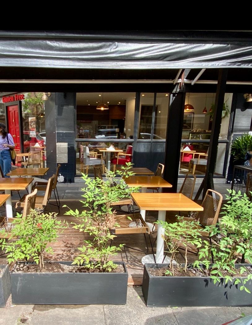 Deck con plantas en el perímetro