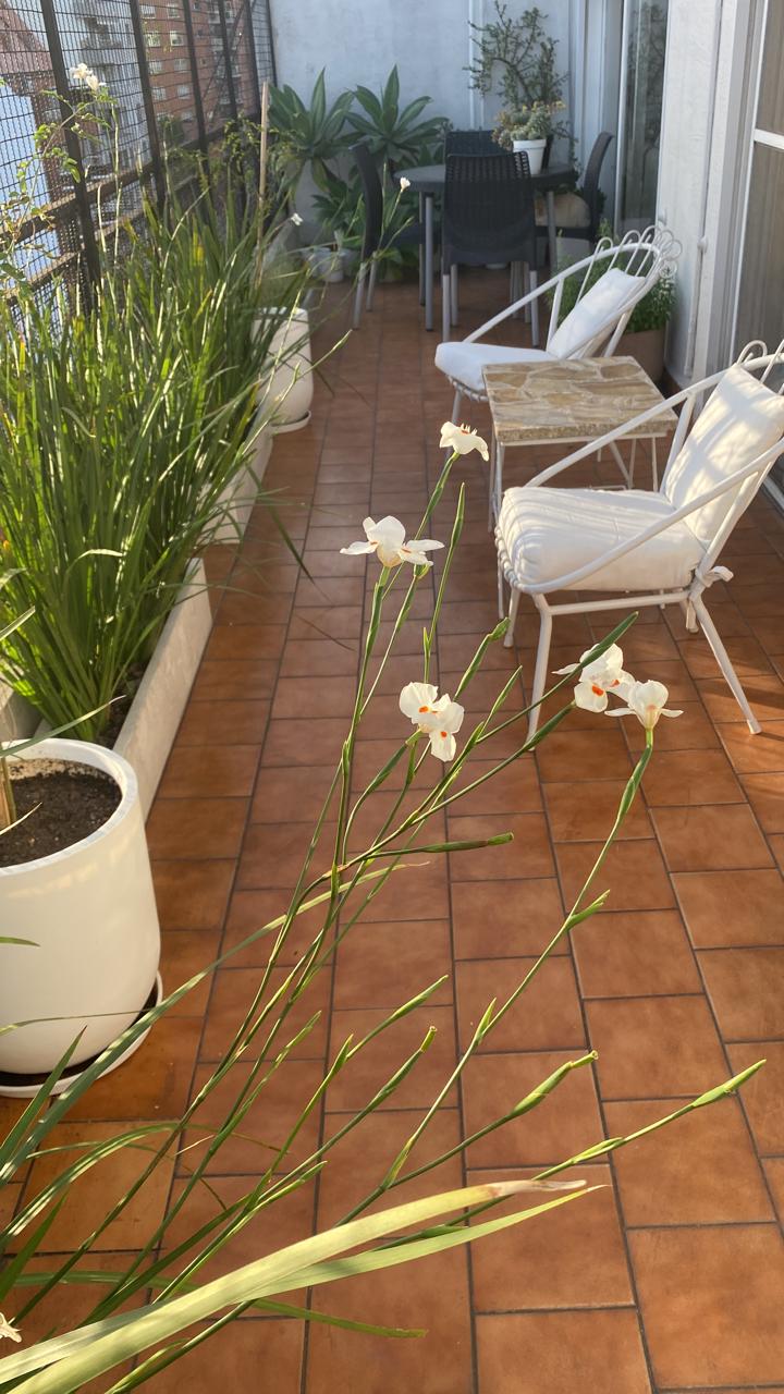 balcon terraza con flores
