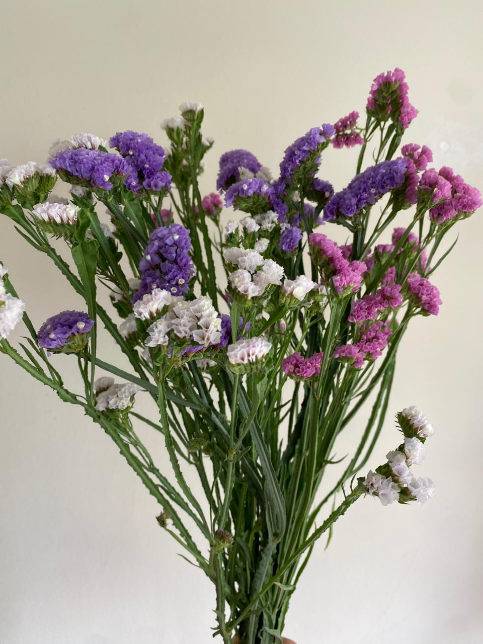 Statice, la flor que&nbsp;perdura