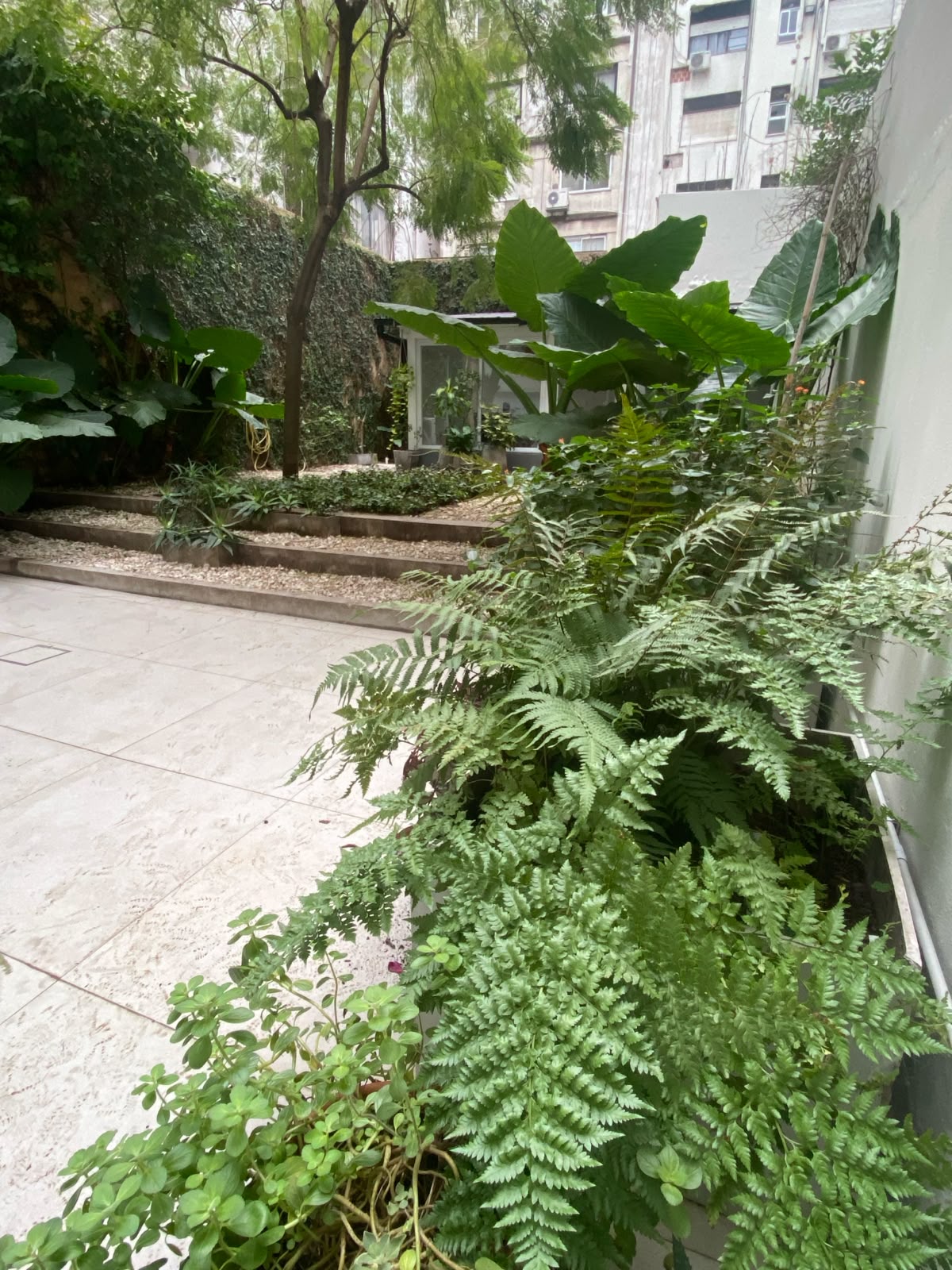 El jardín en agosto: cómo prepararlo para la primavera